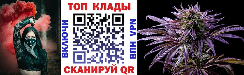 Купить закладку A-PVP  Кокаин  Мефедрон  Бошки Шишки  ГАШ  Кингисепп