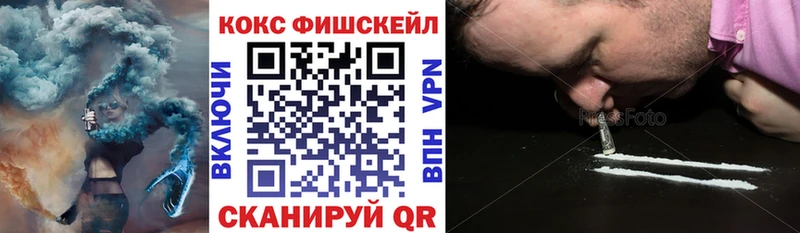 КОКАИН Fish Scale  Купить закладки  Кингисепп 