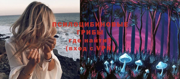трава Зерноград