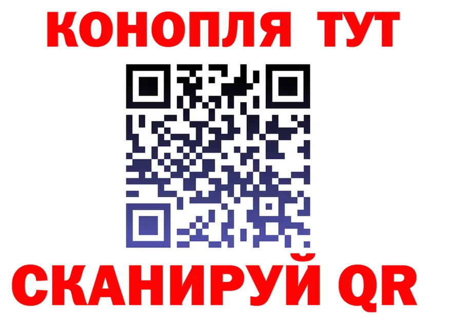 A-PVP СК ТОР площадка omg Кингисепп