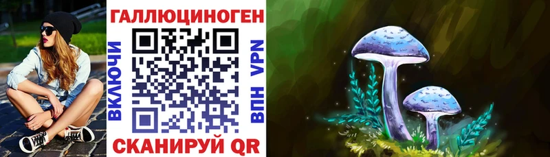 Псилоцибиновые грибы Cubensis  Купить где  Кингисепп 