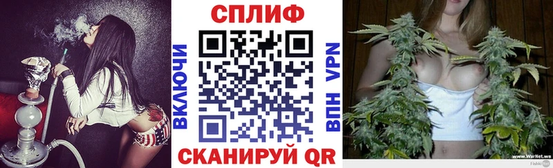 Купить  Кингисепп  Бошки марихуана ГИДРОПОН 